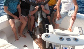 Game Fishing Gallery