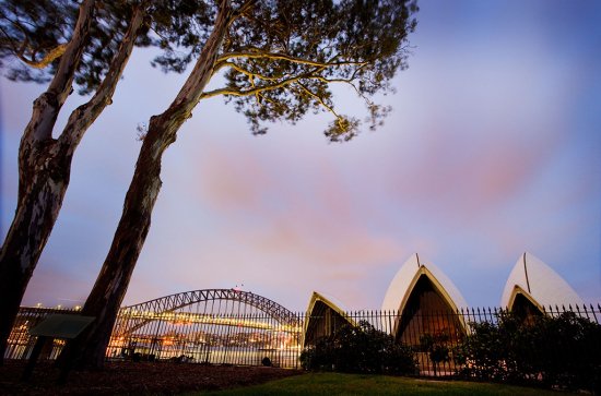 Royal Botanic Garden – Bennelong Lawn