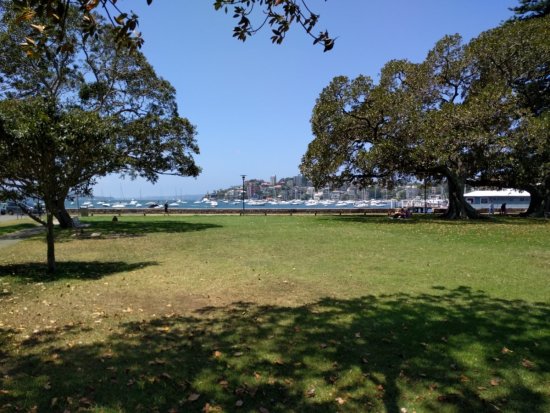 Steyne Park, Double Bay