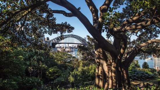 Wendy's Secret Garden, Lavender Bay
